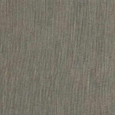 Striking Gold fabric in platinum color - pattern ED85108.11.0 - by Threads