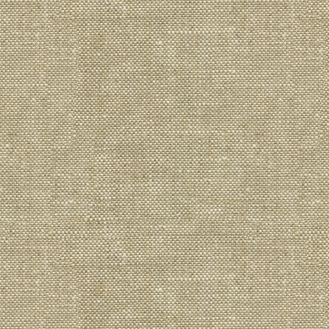Newport fabric in buff color - pattern ED85116.118.0 - by Threads in the Threads Spring collection