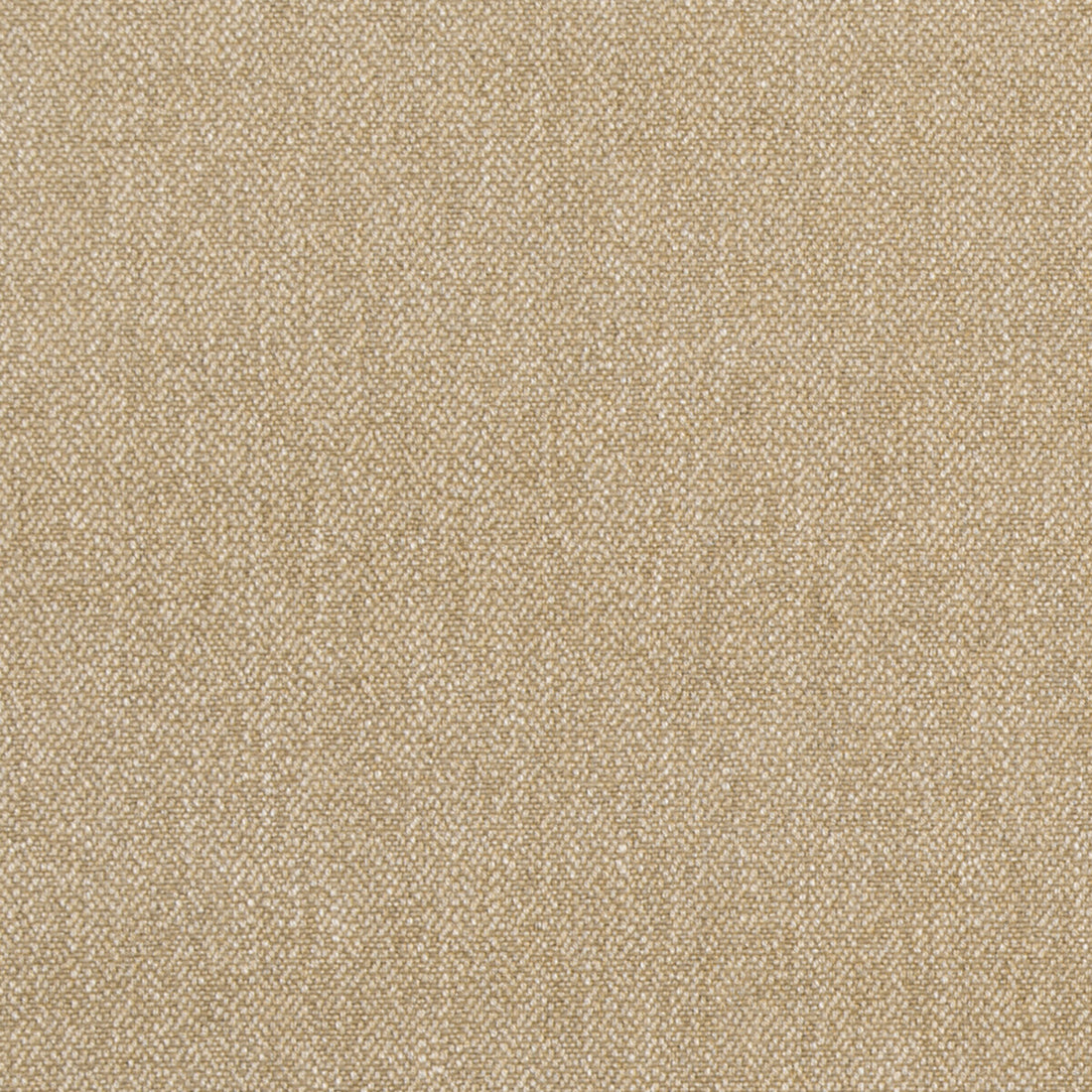 Verdure fabric in biscuit color - pattern ED85175.235.0 - by Threads in the Threads Colour Library collection