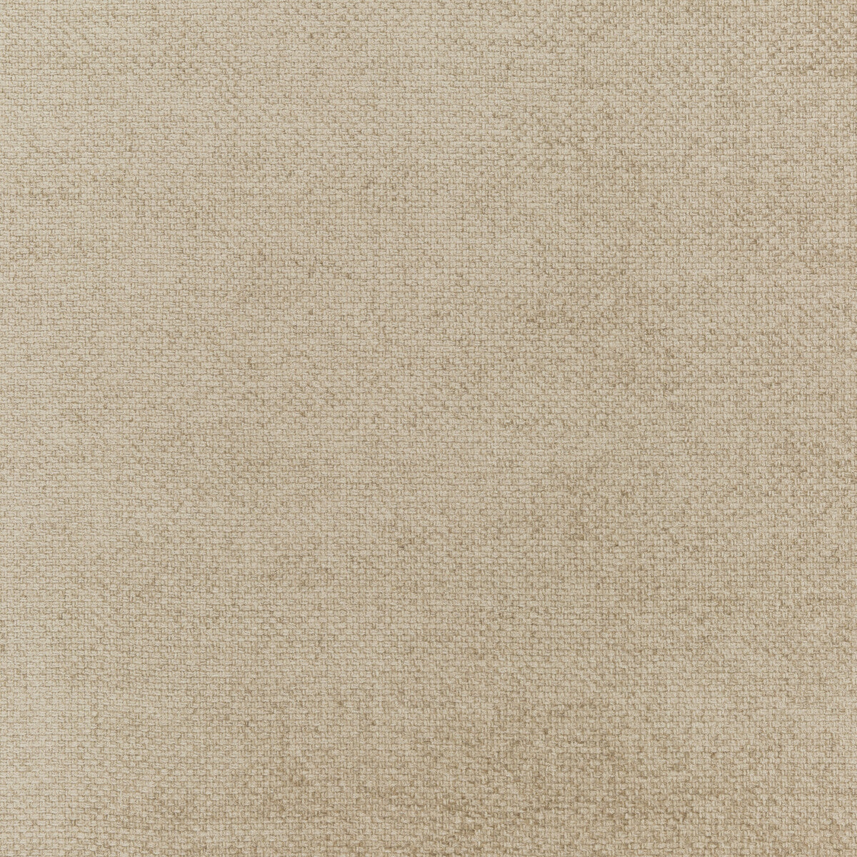 Cami fabric in champagne color - pattern ED85251.170.0 - by Threads in the Odyssey collection
