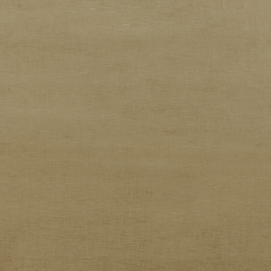 Meridian Velvet fabric in camel color - pattern ED85292.170.0 - by Threads in the Meridian collection