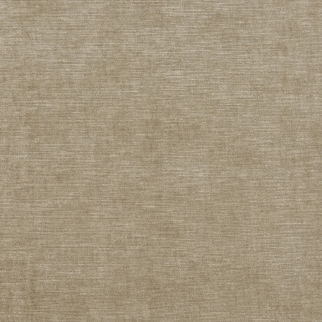 Meridian Velvet fabric in oatmeal color - pattern ED85292.230.0 - by Threads in the Meridian collection