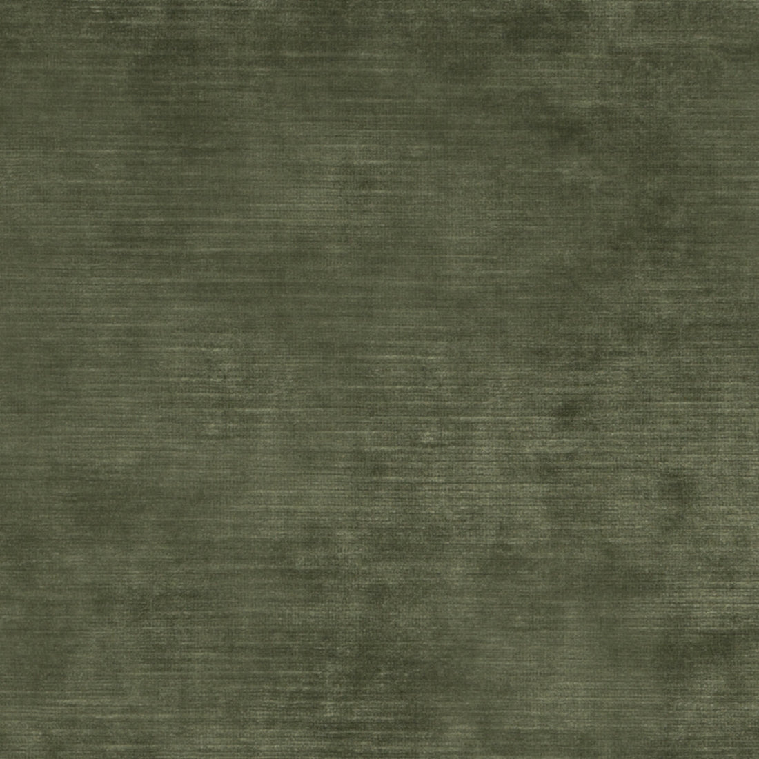 Meridian Velvet fabric in fern color - pattern ED85292.775.0 - by Threads in the Meridian collection