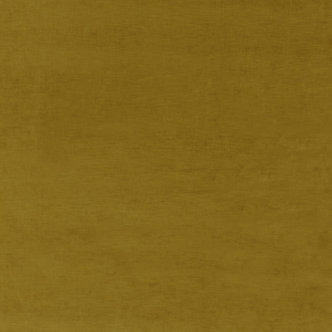 Meridian Velvet fabric in mustard color - pattern ED85292.825.0 - by Threads in the Meridian collection