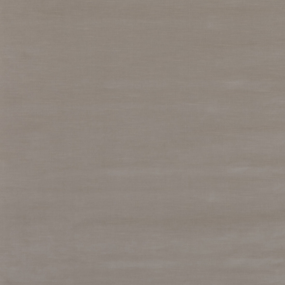 Quintessential Velvet fabric in flax color - pattern ED85359.113.0 - by Threads in the Quintessential Velvet collection
