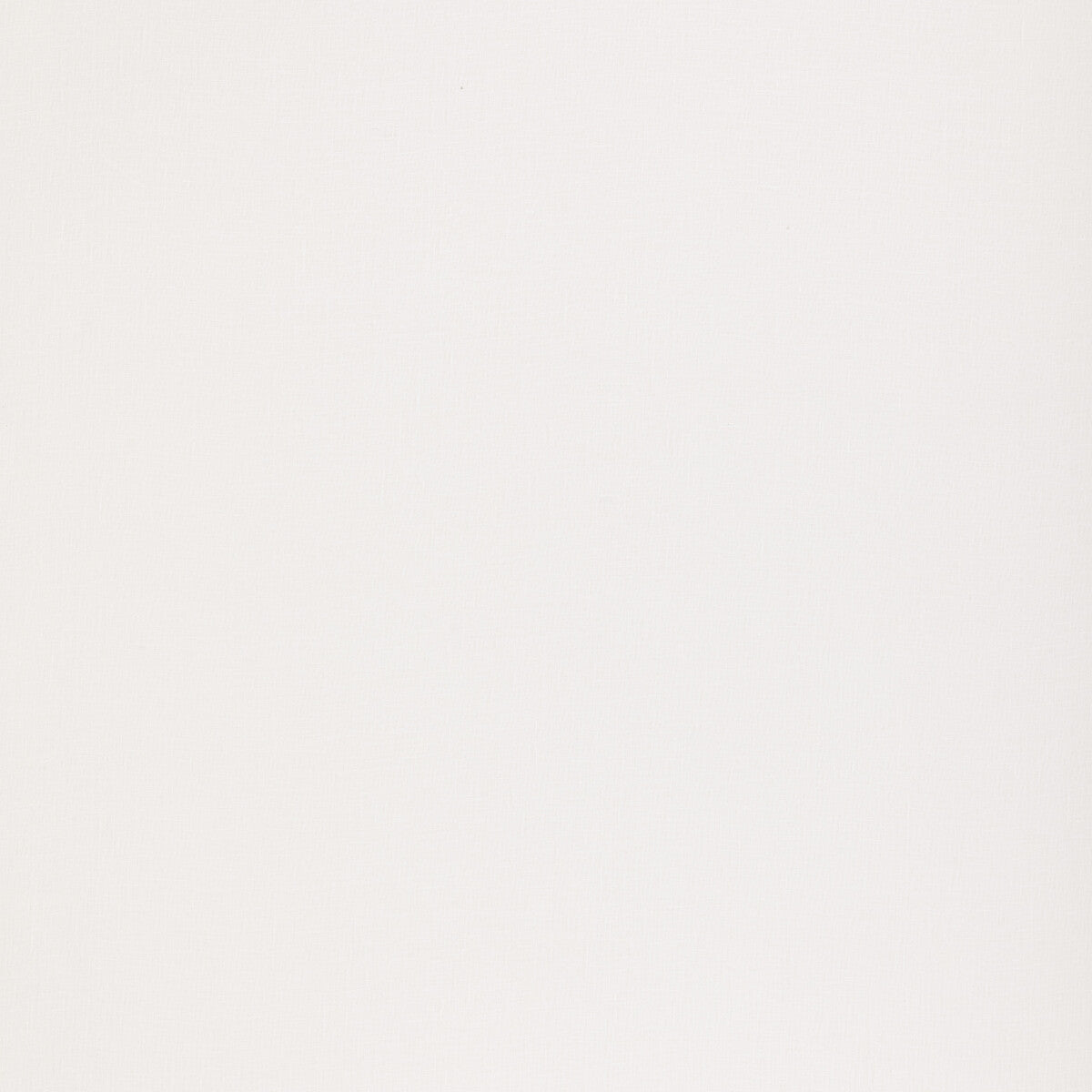Plateau fabric in ivory color - pattern ED85386.104.0 - by Threads in the Quintessential Naturals collection