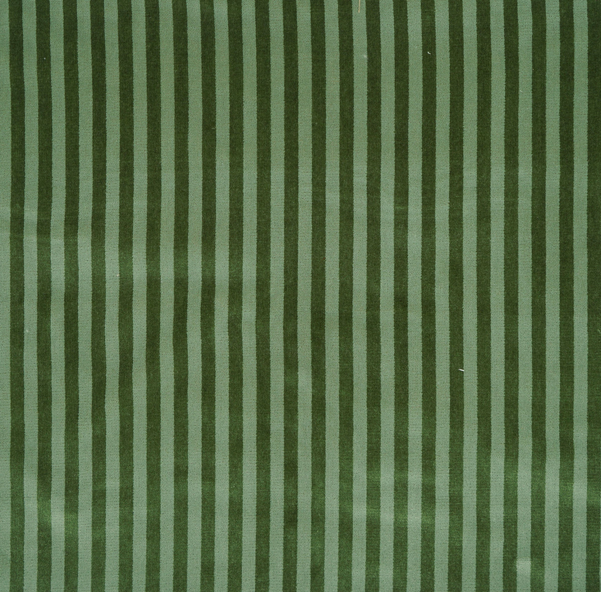 Colline fabric in green color - pattern number ED 00030024 - by Scalamandre in the Old World Weavers collection