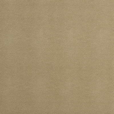 Epitome fabric in putty color - pattern EPITOME.16.0 - by Kravet Couture