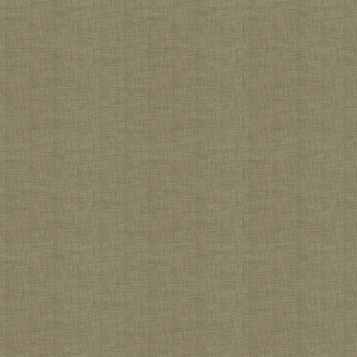 Etching fabric in pewter color - pattern ETCHING.21.0 - by Kravet Couture