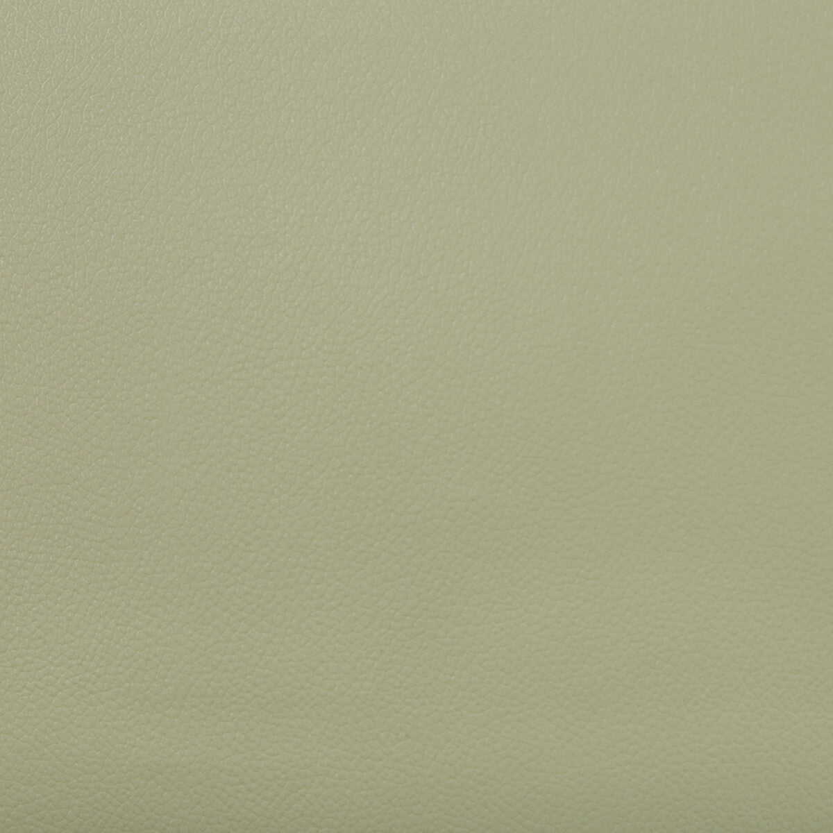 Extreme fabric in olive color - pattern EXTREME.130.0 - by Kravet Contract in the Faux Leather Extreme Performance collection