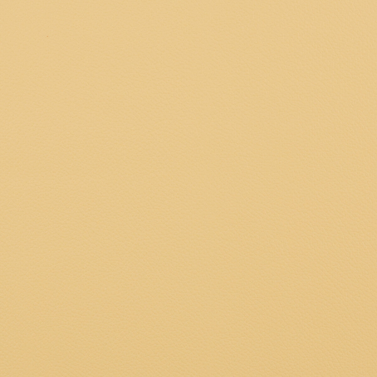 Extreme fabric in sand color - pattern EXTREME.16.0 - by Kravet Contract in the Faux Leather Extreme Performance collection