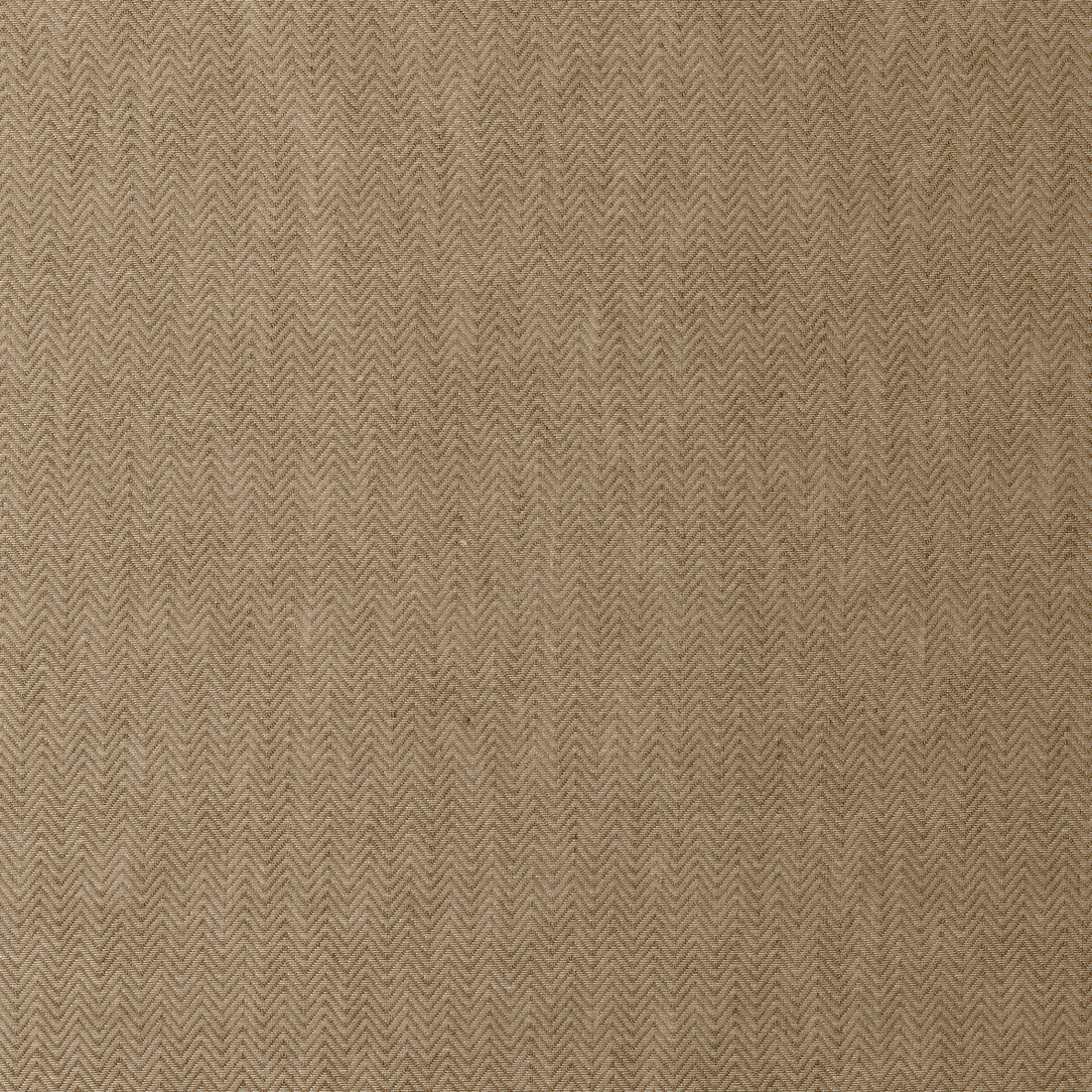 Corina fabric in mocha color - pattern F0413/04.CAC.0 - by Clarke And Clarke in the Clarke &amp; Clarke Natura Sheers collection