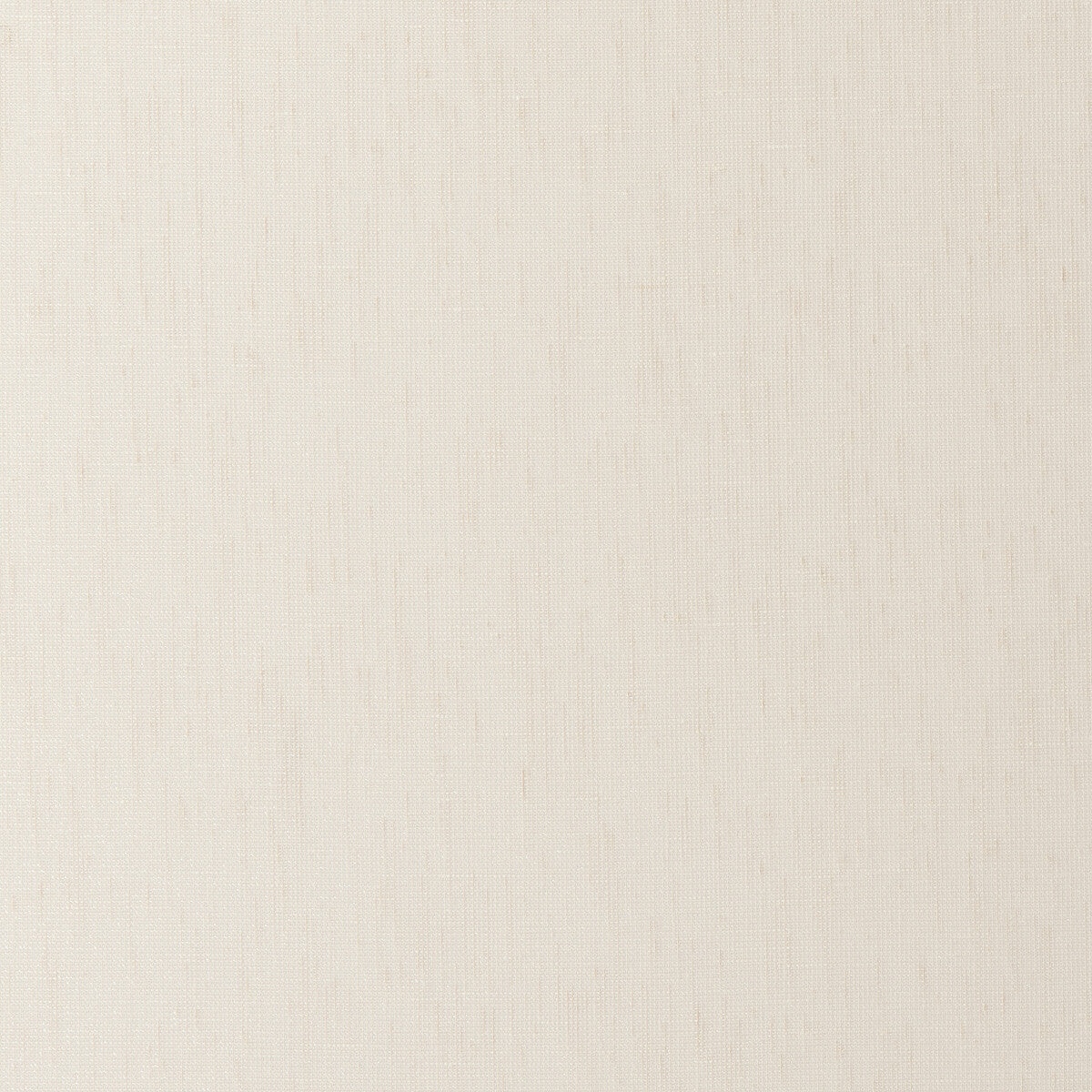 Diva fabric in cream color - pattern F0414/01.CAC.0 - by Clarke And Clarke in the Clarke & Clarke Natura Sheers collection