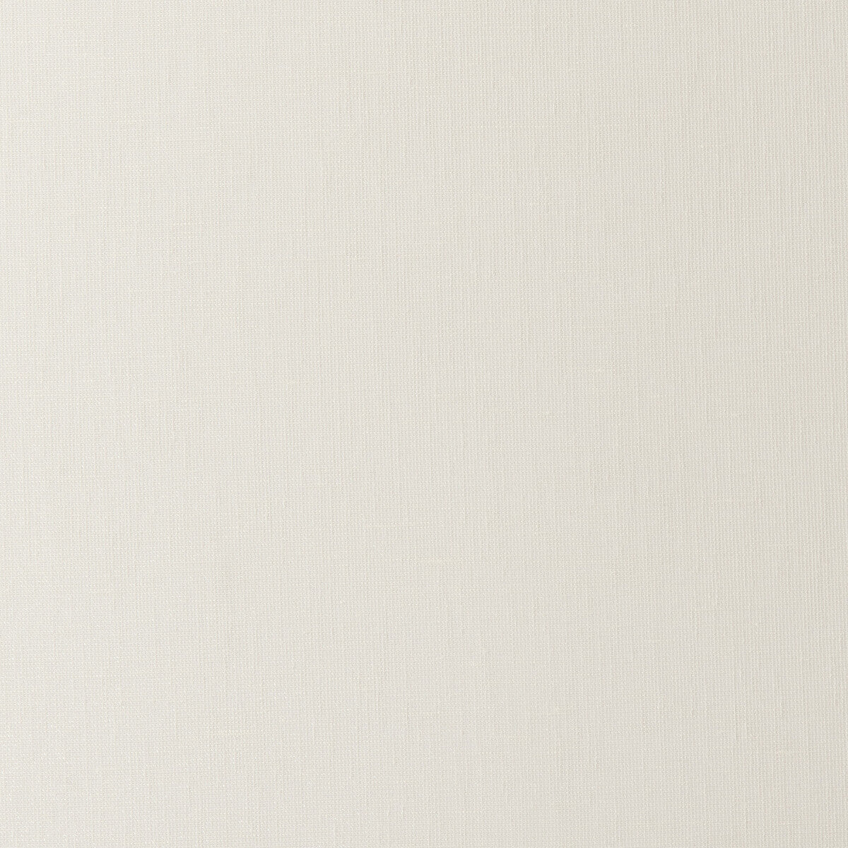 Diva fabric in ivory color - pattern F0414/02.CAC.0 - by Clarke And Clarke in the Clarke & Clarke Natura Sheers collection