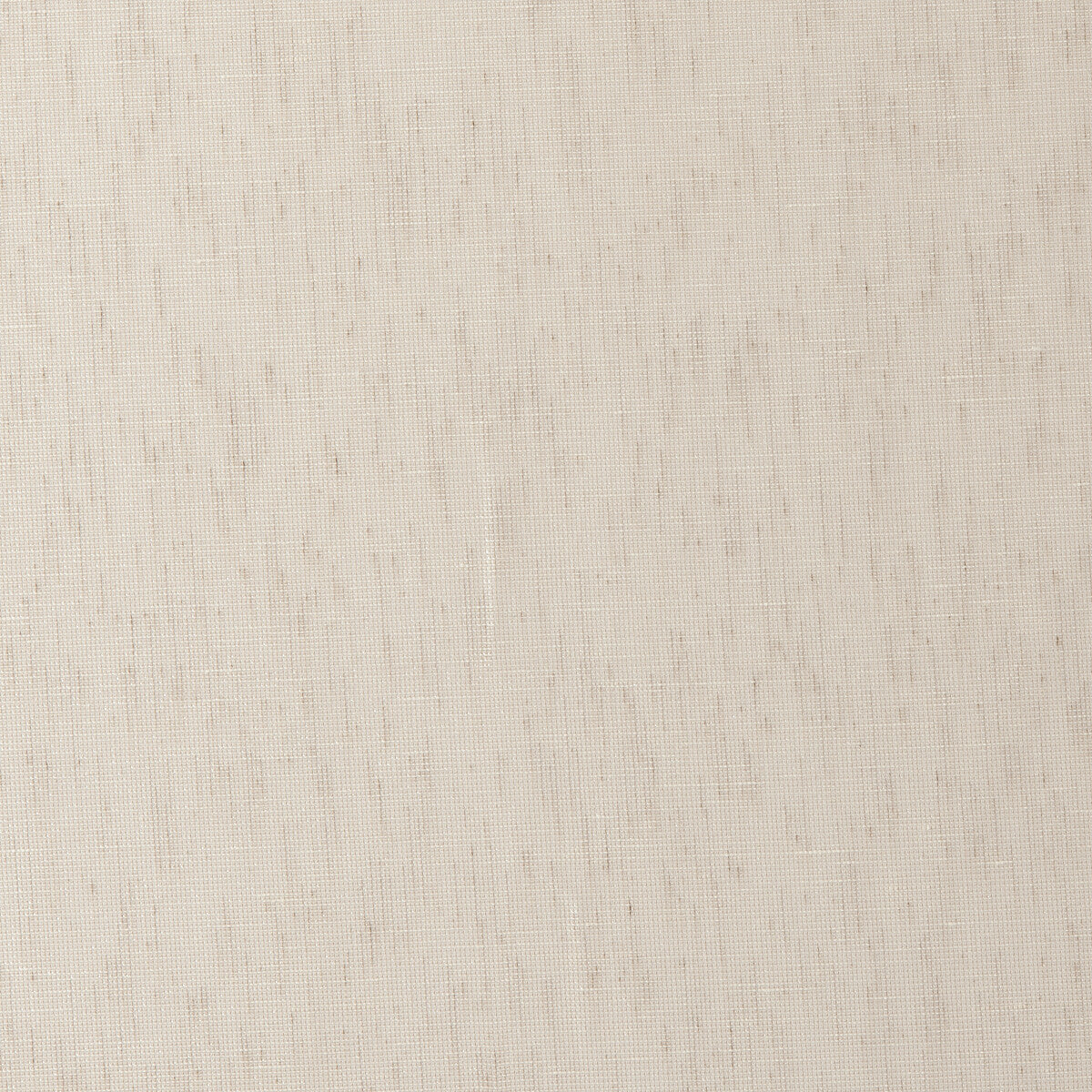 Diva fabric in pebble color - pattern F0414/05.CAC.0 - by Clarke And Clarke in the Clarke & Clarke Natura Sheers collection