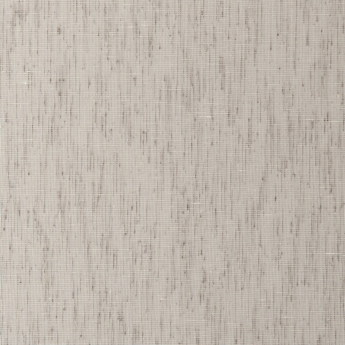 Diva fabric in pewter color - pattern F0414/06.CAC.0 - by Clarke And Clarke in the Clarke & Clarke Natura Sheers collection