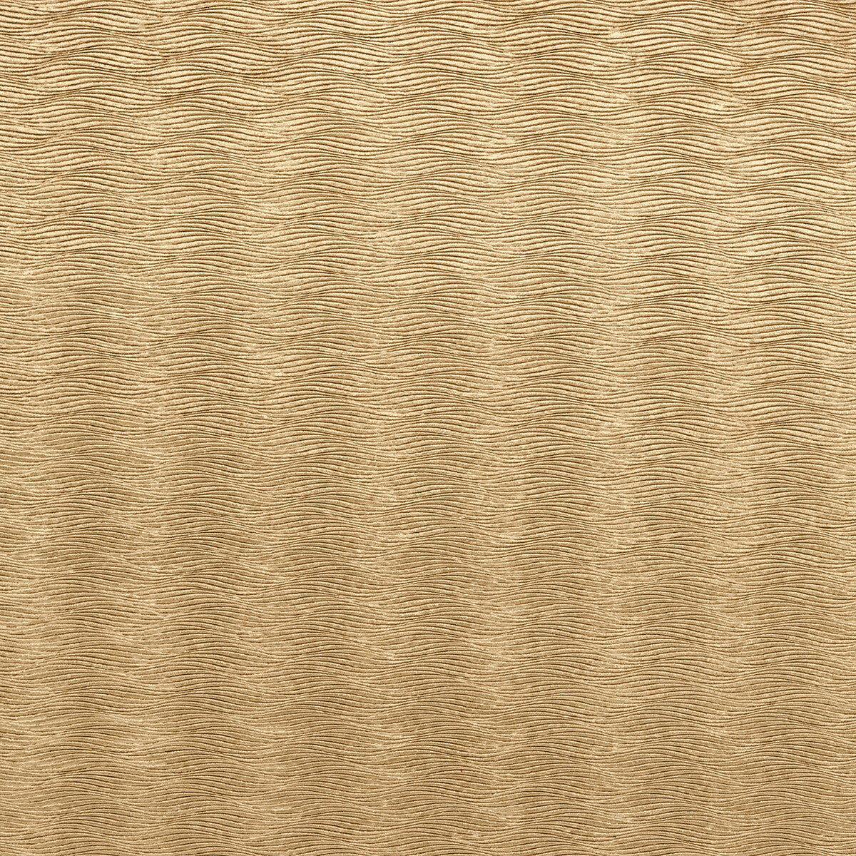 Tempo fabric in antique color - pattern F0467/01.CAC.0 - by Clarke And Clarke in the Clarke & Clarke Tempo Velvets collection