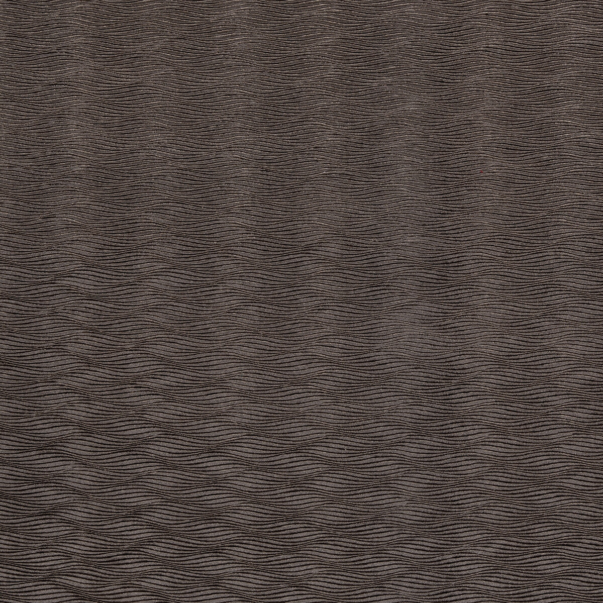 Tempo fabric in charcoal color - pattern F0467/03.CAC.0 - by Clarke And Clarke in the Clarke & Clarke Tempo Velvets collection