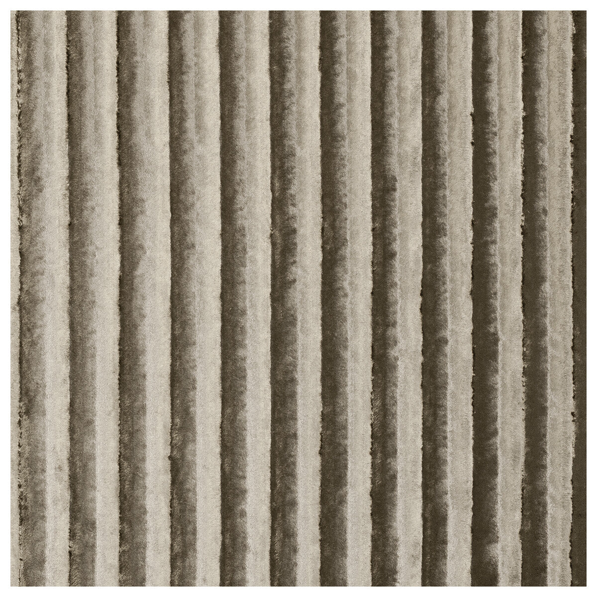 Rhythm fabric in ash color - pattern F0468/02.CAC.0 - by Clarke And Clarke in the Clarke & Clarke Tempo Velvets collection