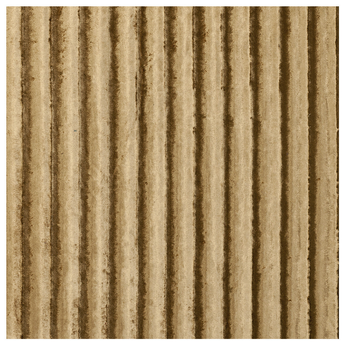 Rhythm fabric in pistachio color - pattern F0468/12.CAC.0 - by Clarke And Clarke in the Clarke & Clarke Tempo Velvets collection