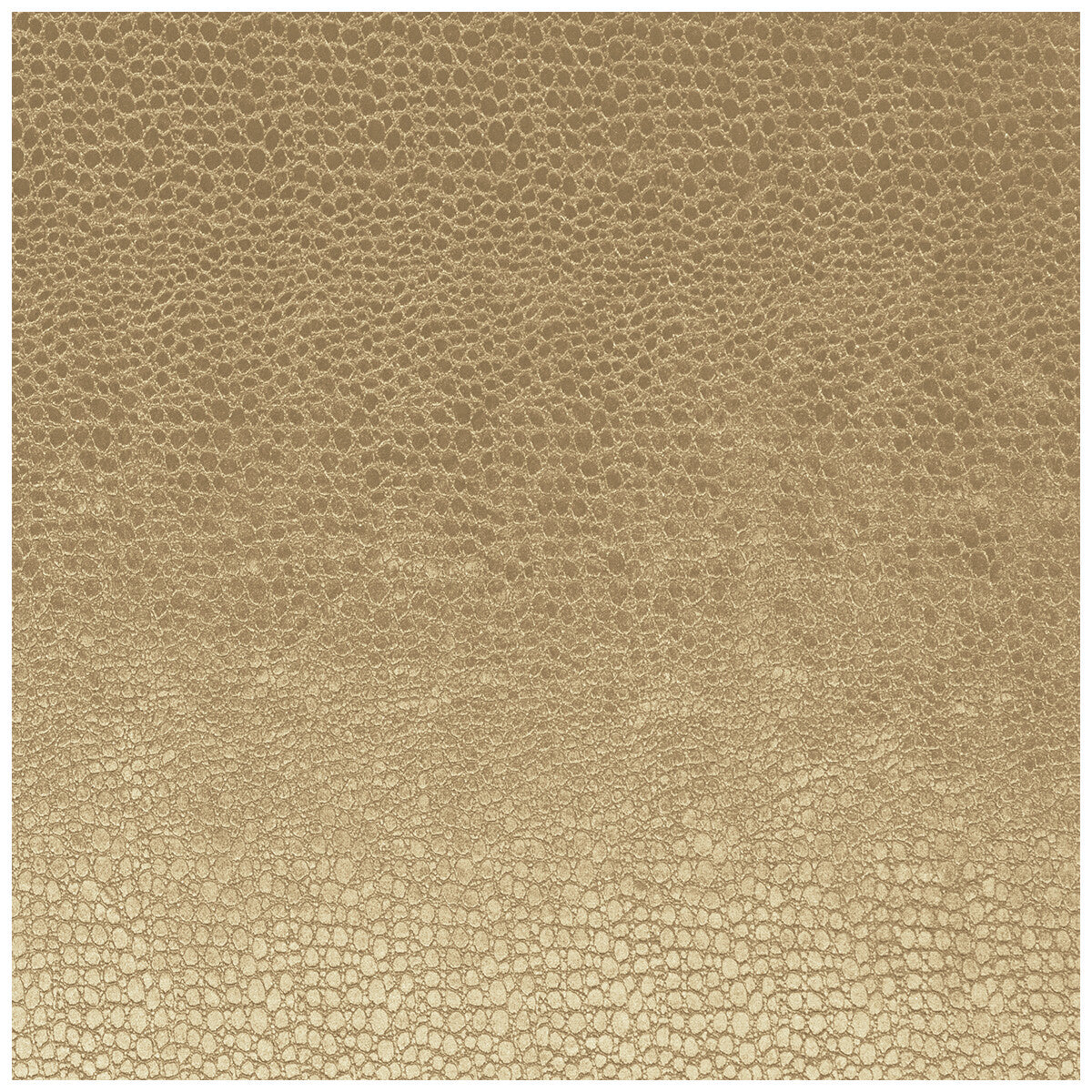 Pulse fabric in antique color - pattern F0469/01.CAC.0 - by Clarke And Clarke in the Clarke & Clarke Tempo Velvets collection