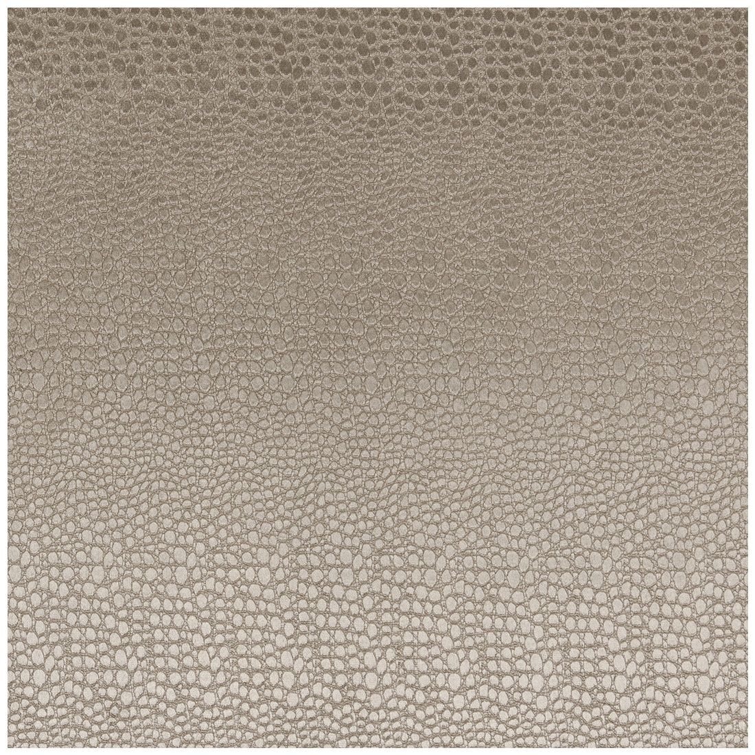 Pulse fabric in ash color - pattern F0469/02.CAC.0 - by Clarke And Clarke in the Clarke &amp; Clarke Tempo Velvets collection