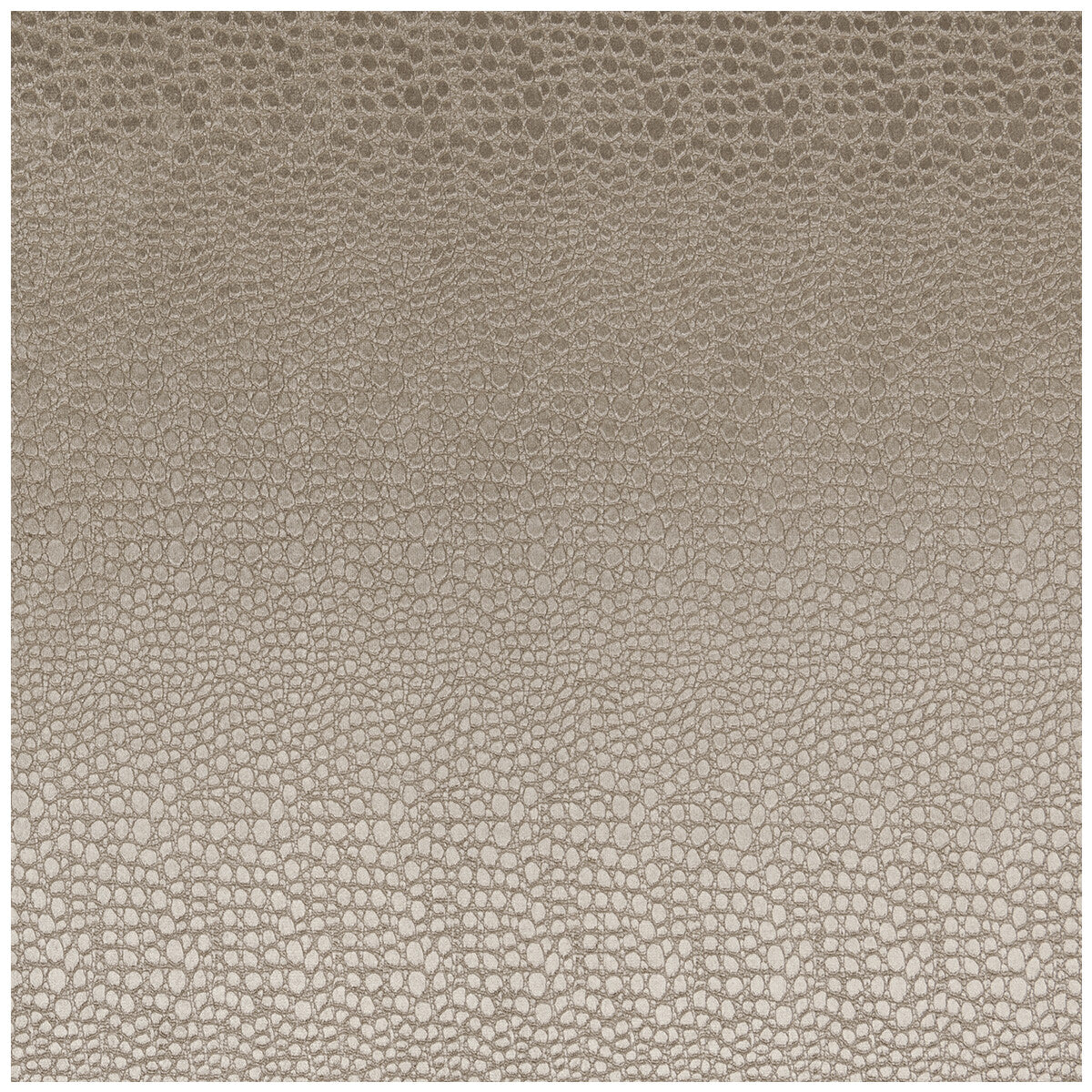 Pulse fabric in ash color - pattern F0469/02.CAC.0 - by Clarke And Clarke in the Clarke & Clarke Tempo Velvets collection
