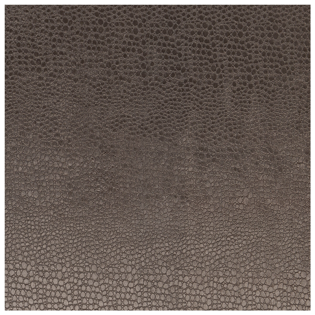 Pulse fabric in charcoal color - pattern F0469/03.CAC.0 - by Clarke And Clarke in the Clarke & Clarke Tempo Velvets collection