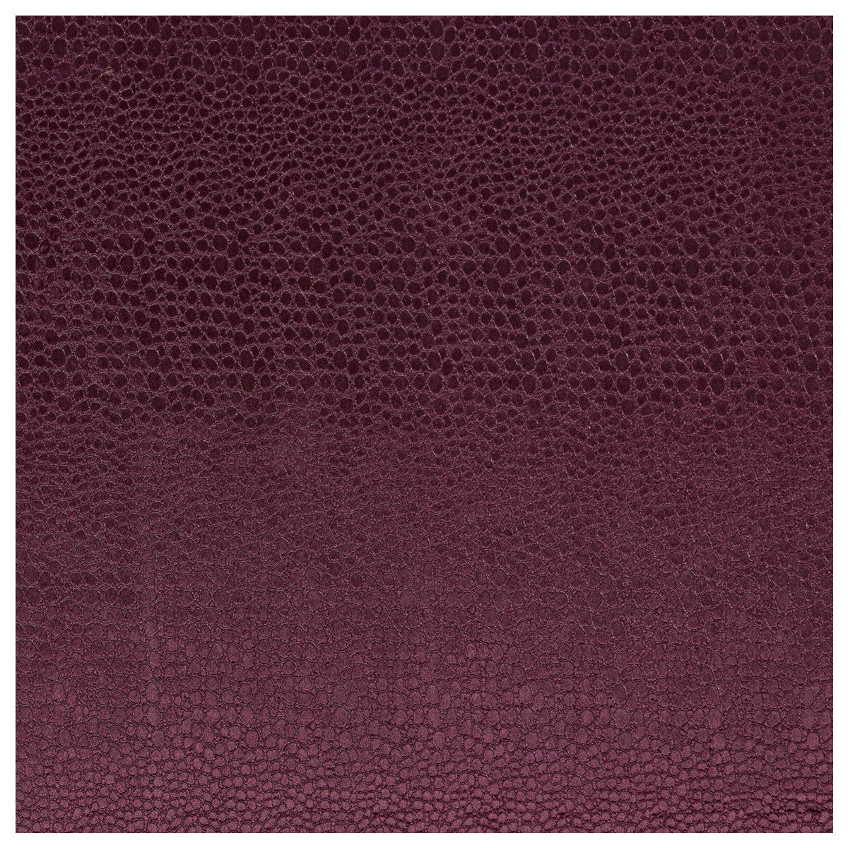 Pulse fabric in damson color - pattern F0469/06.CAC.0 - by Clarke And Clarke in the Clarke & Clarke Tempo Velvets collection