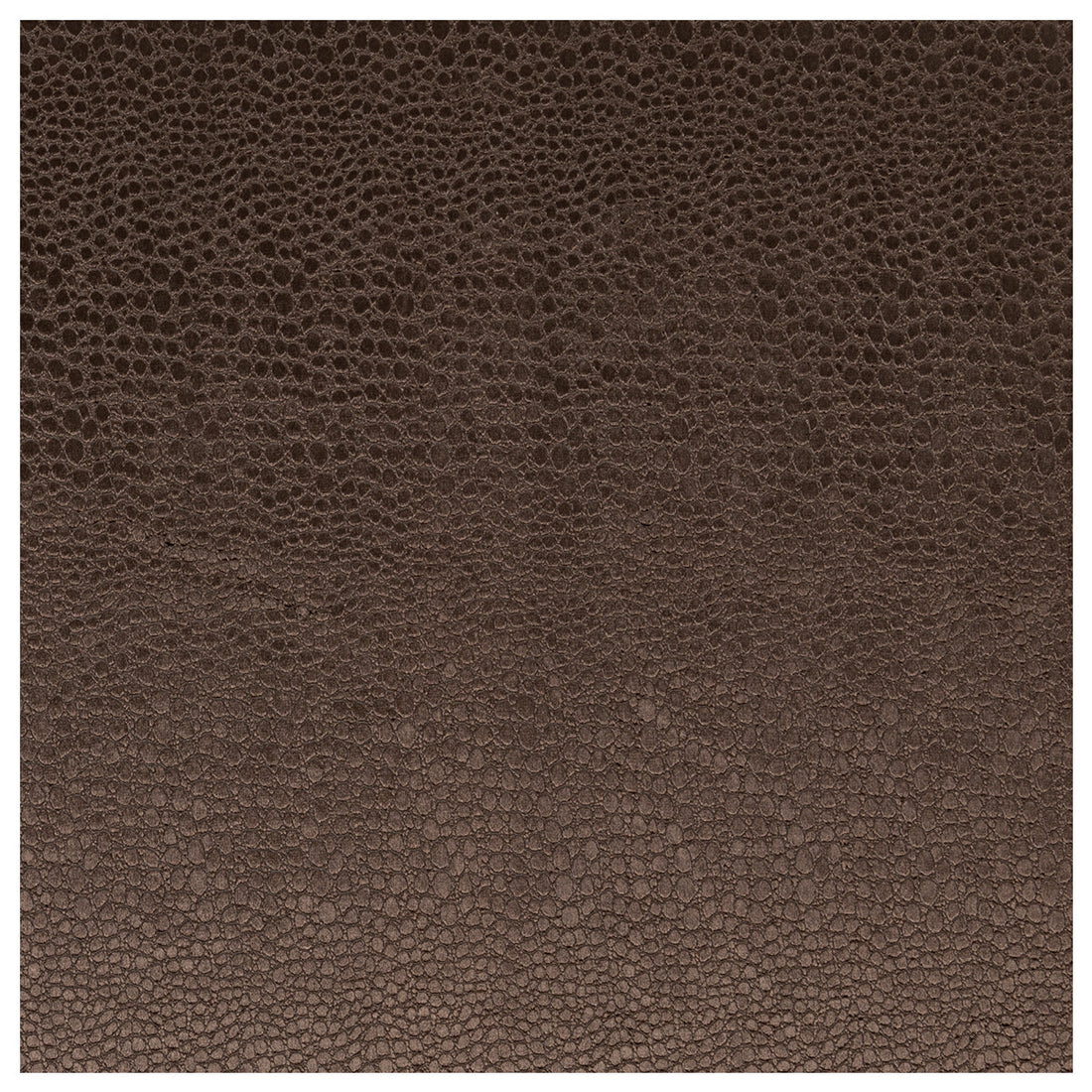 Pulse fabric in espresso color - pattern F0469/07.CAC.0 - by Clarke And Clarke in the Clarke &amp; Clarke Tempo Velvets collection