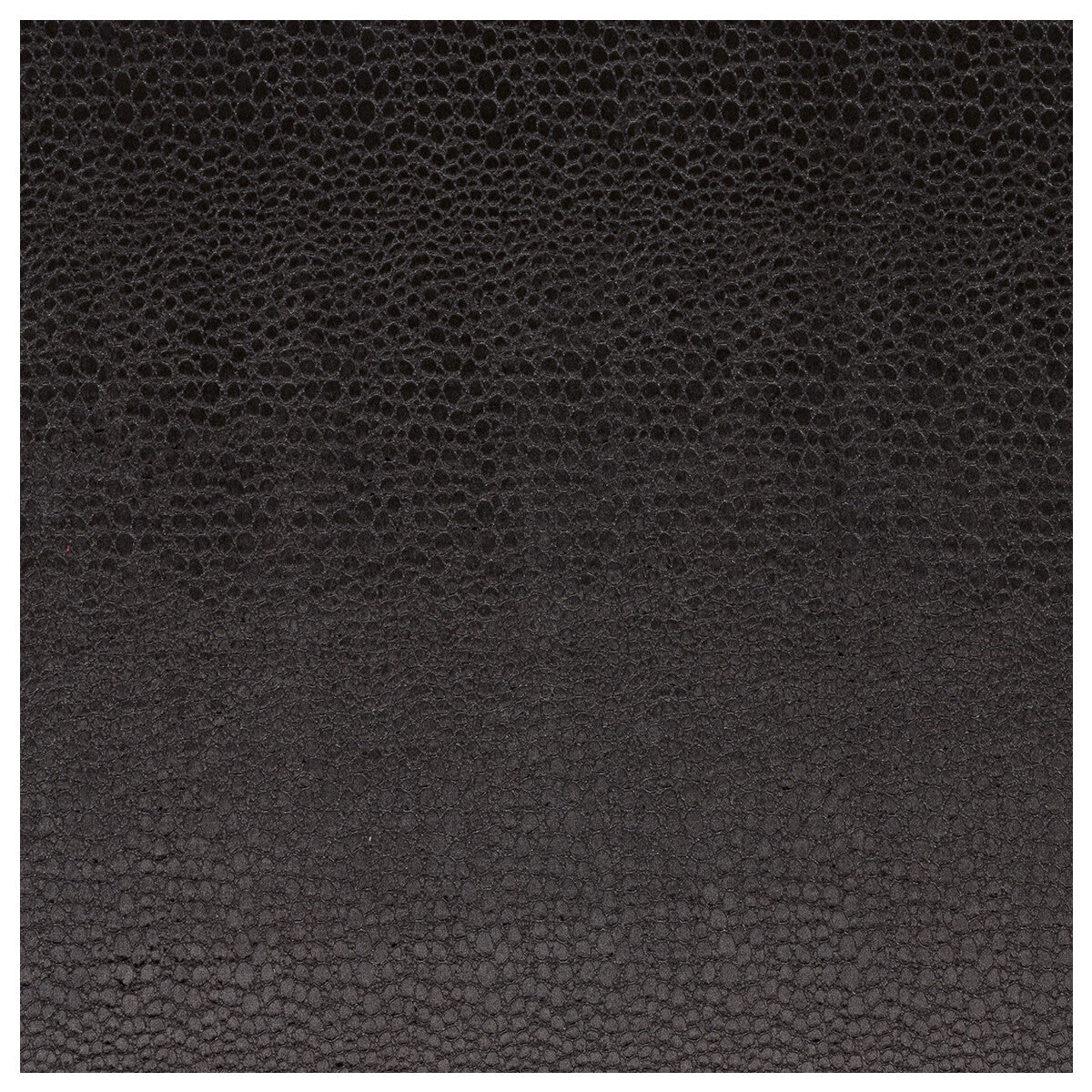 Pulse fabric in jet color - pattern F0469/09.CAC.0 - by Clarke And Clarke in the Clarke & Clarke Tempo Velvets collection