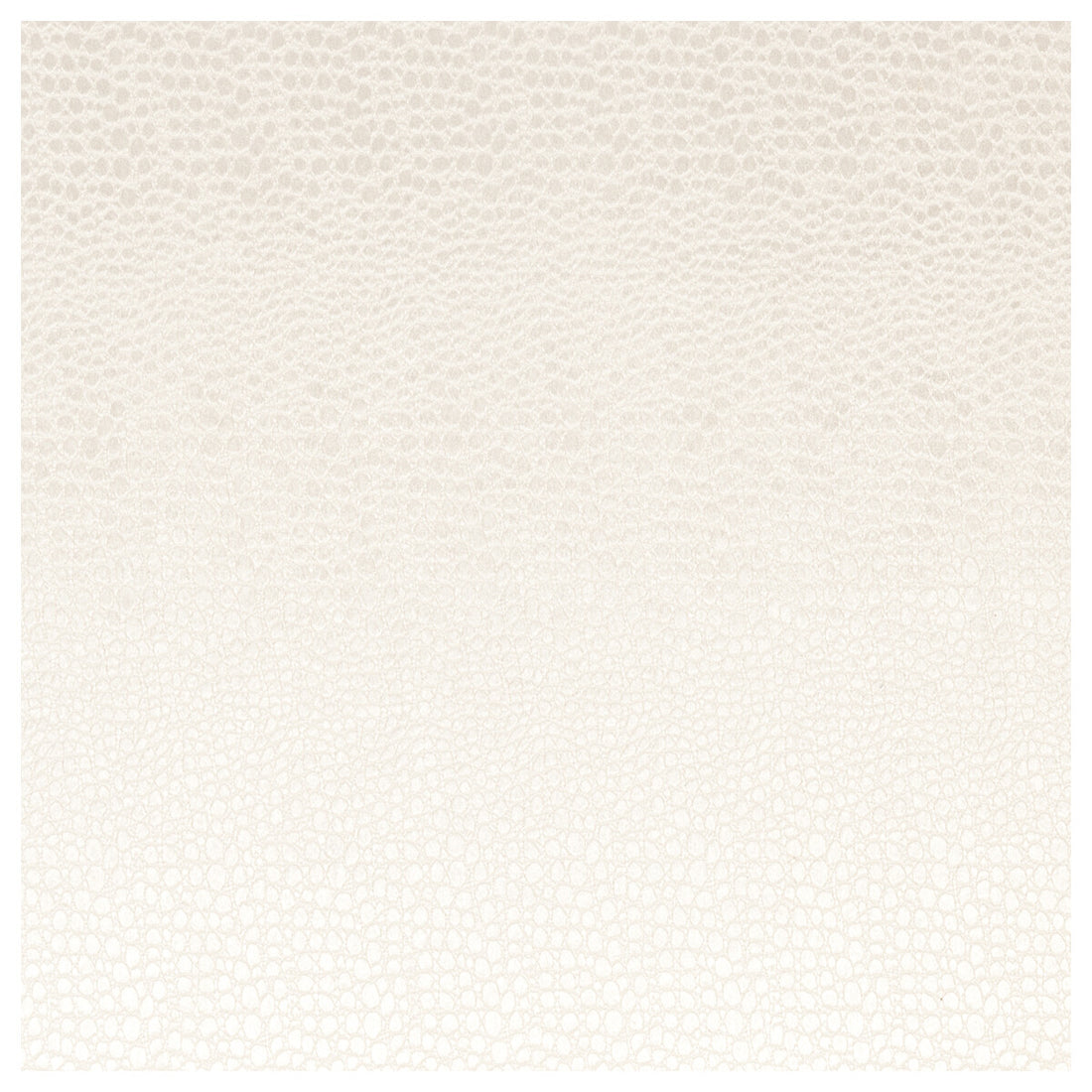 Pulse fabric in pearl color - pattern F0469/11.CAC.0 - by Clarke And Clarke in the Clarke &amp; Clarke Tempo Velvets collection