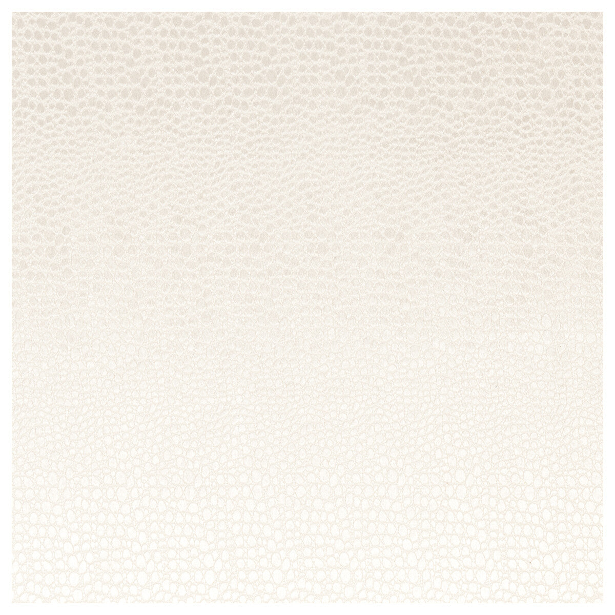 Pulse fabric in pearl color - pattern F0469/11.CAC.0 - by Clarke And Clarke in the Clarke & Clarke Tempo Velvets collection