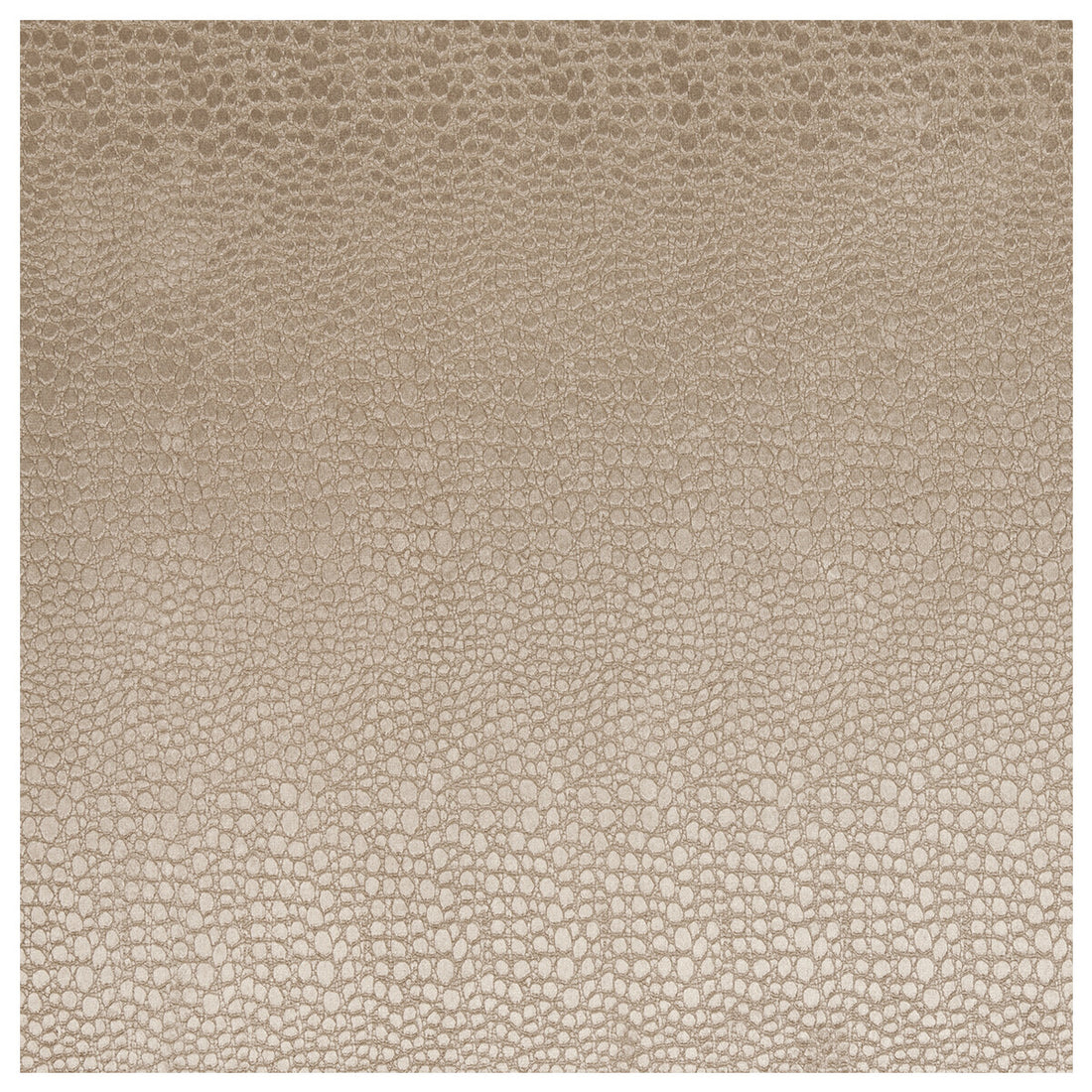 Pulse fabric in sand color - pattern F0469/13.CAC.0 - by Clarke And Clarke in the Clarke &amp; Clarke Tempo Velvets collection