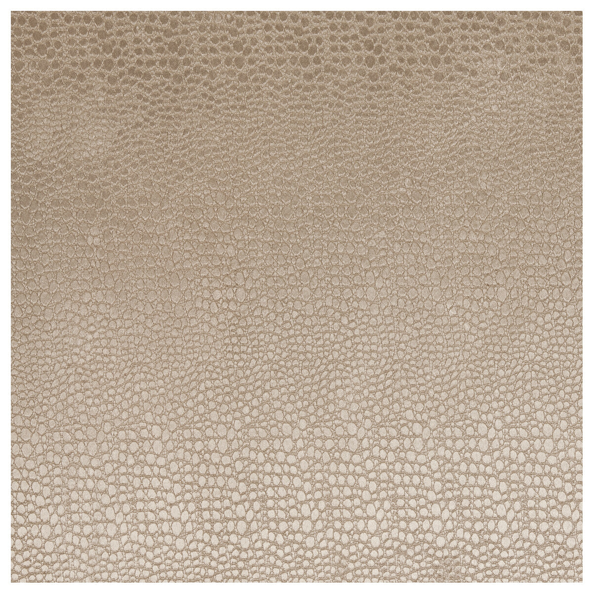 Pulse fabric in sand color - pattern F0469/13.CAC.0 - by Clarke And Clarke in the Clarke & Clarke Tempo Velvets collection