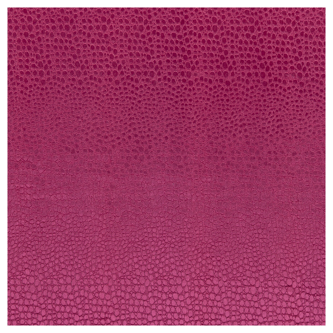 Pulse fabric in sorbet color - pattern F0469/14.CAC.0 - by Clarke And Clarke in the Clarke &amp; Clarke Tempo Velvets collection