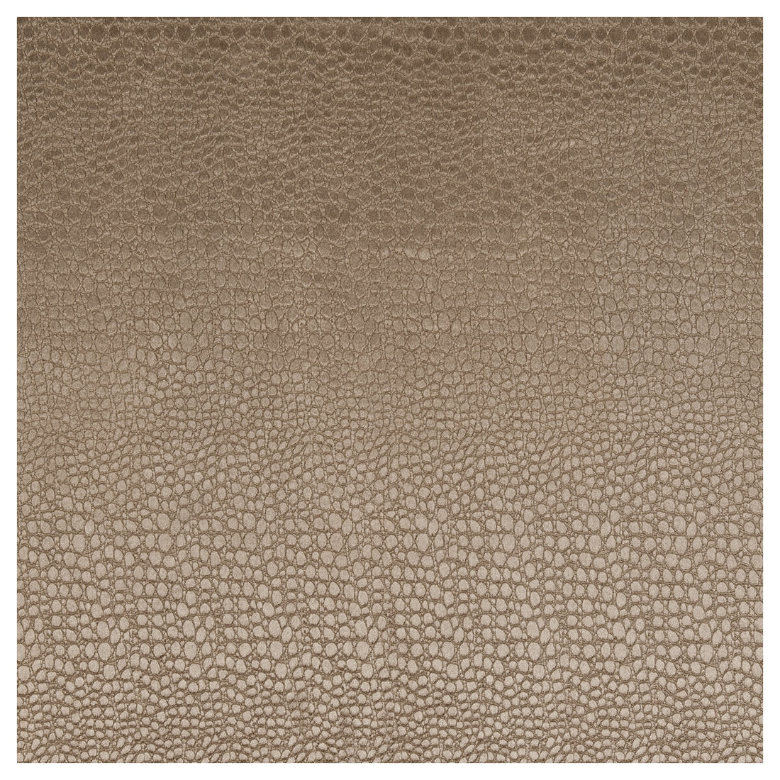 Pulse fabric in taupe color - pattern F0469/15.CAC.0 - by Clarke And Clarke in the Clarke &amp; Clarke Tempo Velvets collection