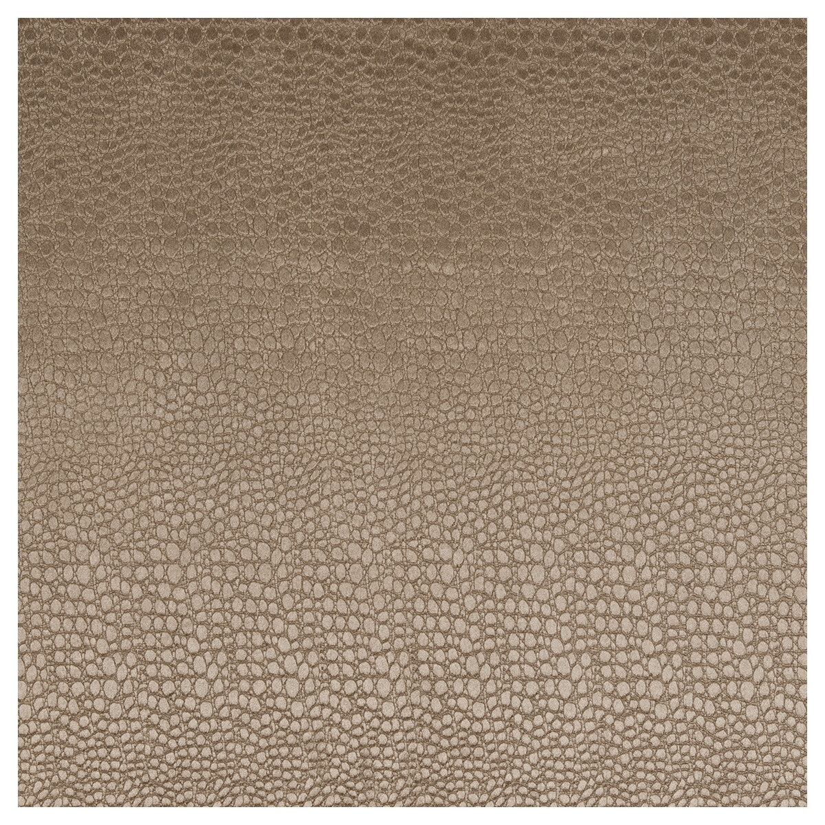 Pulse fabric in taupe color - pattern F0469/15.CAC.0 - by Clarke And Clarke in the Clarke & Clarke Tempo Velvets collection