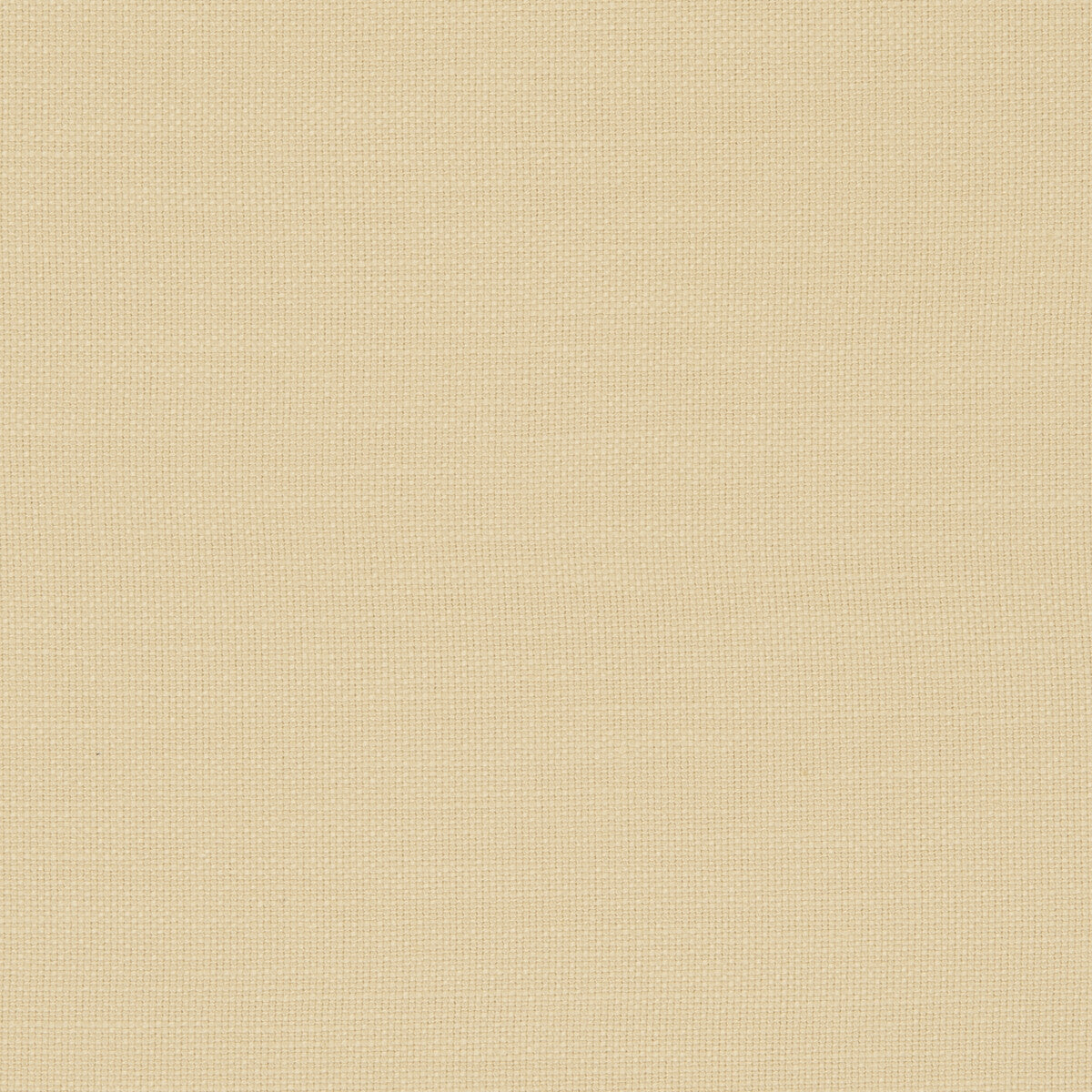 Nantucket fabric in butter color - pattern F0594/03.CAC.0 - by Clarke And Clarke in the Clarke & Clarke Nantucket collection