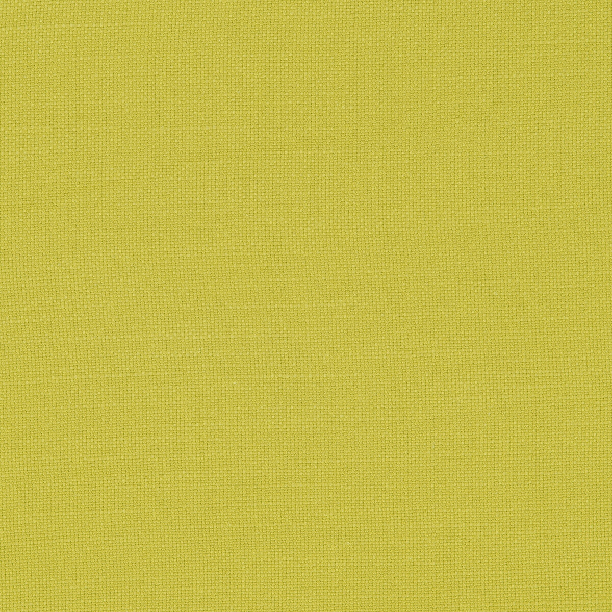 Nantucket fabric in celery color - pattern F0594/04.CAC.0 - by Clarke And Clarke in the Clarke & Clarke Nantucket collection