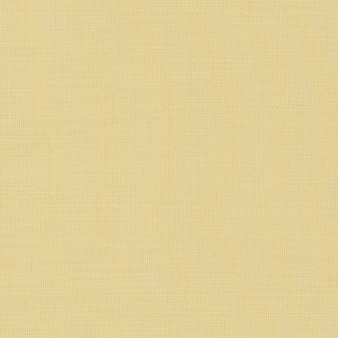 Nantucket fabric in corn color - pattern F0594/12.CAC.0 - by Clarke And Clarke in the Clarke &amp; Clarke Nantucket collection