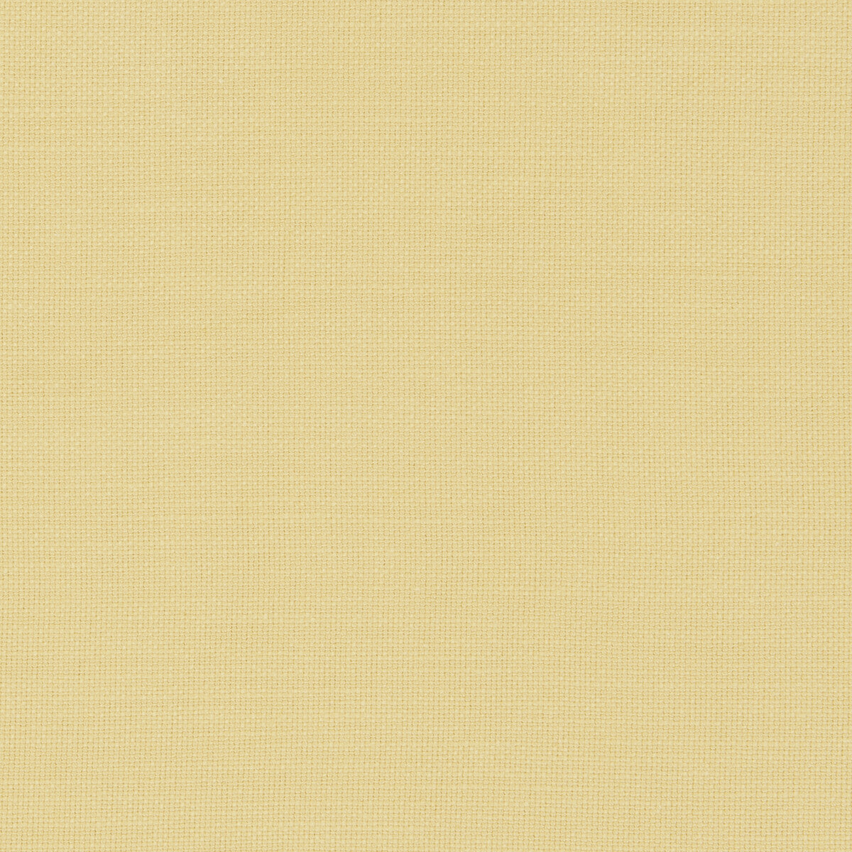 Nantucket fabric in corn color - pattern F0594/12.CAC.0 - by Clarke And Clarke in the Clarke & Clarke Nantucket collection