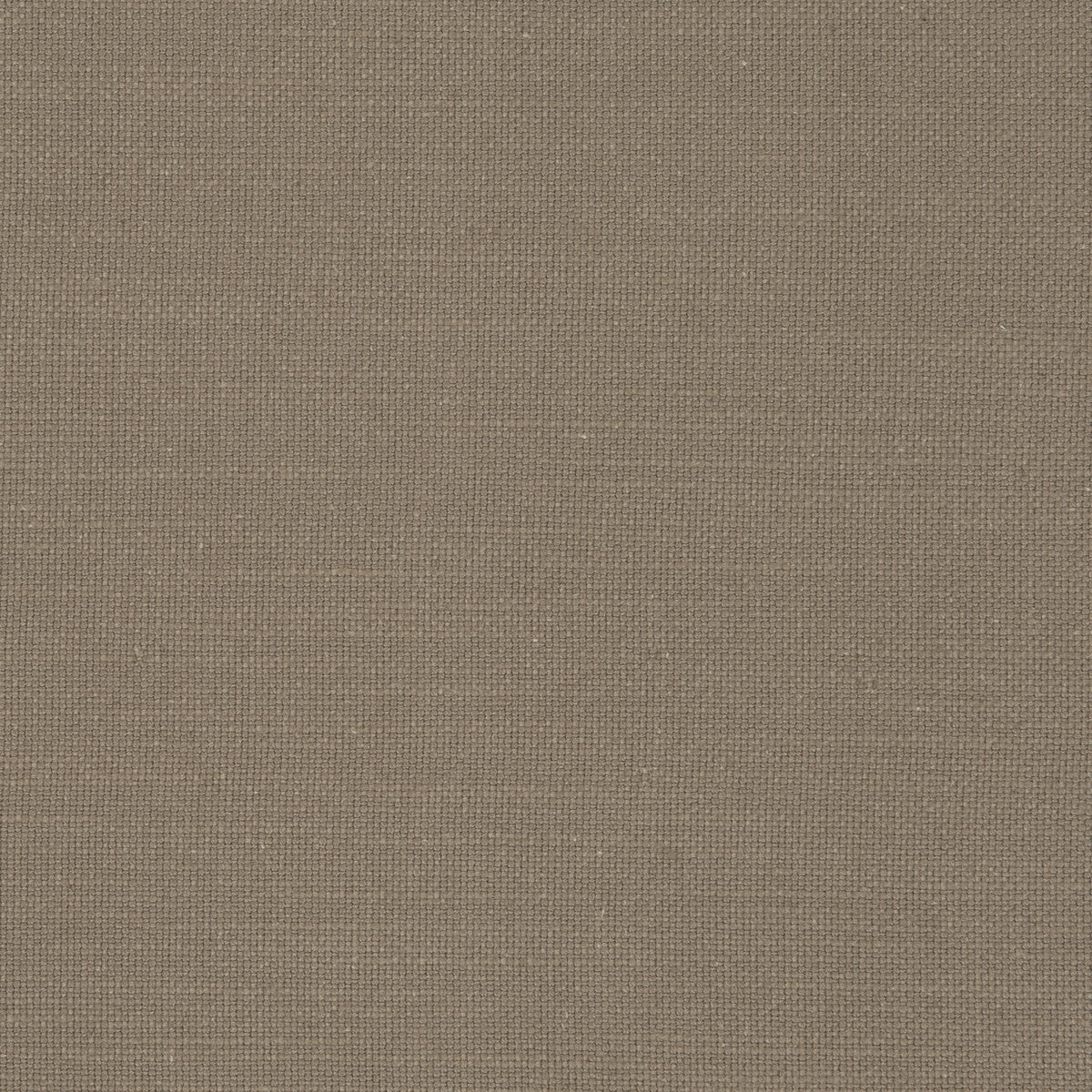 Nantucket fabric in earth color - pattern F0594/17.CAC.0 - by Clarke And Clarke in the Clarke & Clarke Nantucket collection
