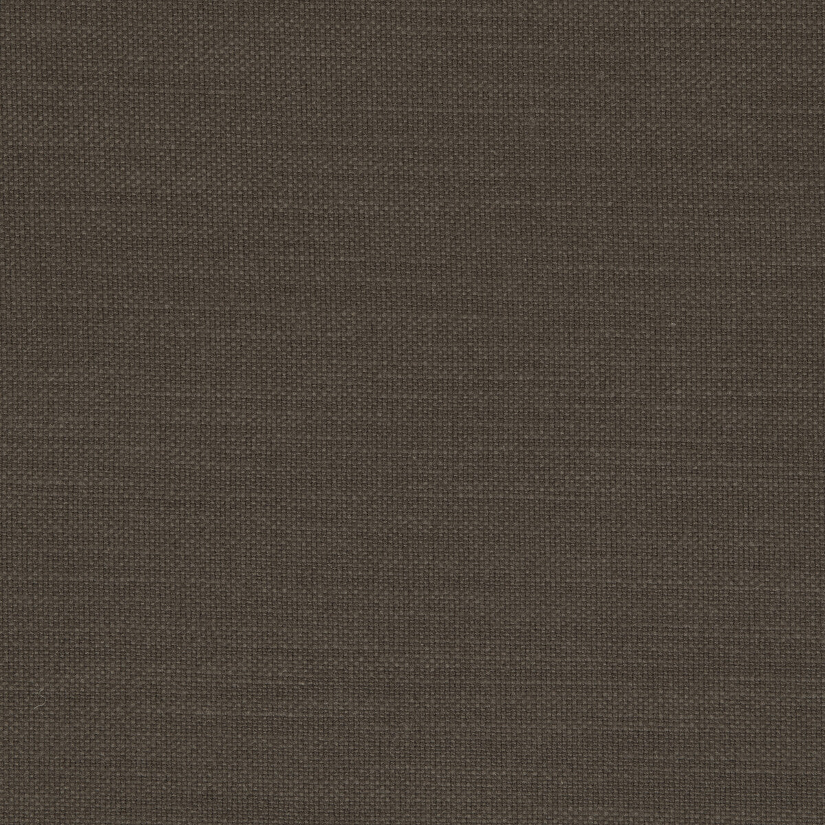 Nantucket fabric in espresso color - pattern F0594/18.CAC.0 - by Clarke And Clarke in the Clarke & Clarke Nantucket collection