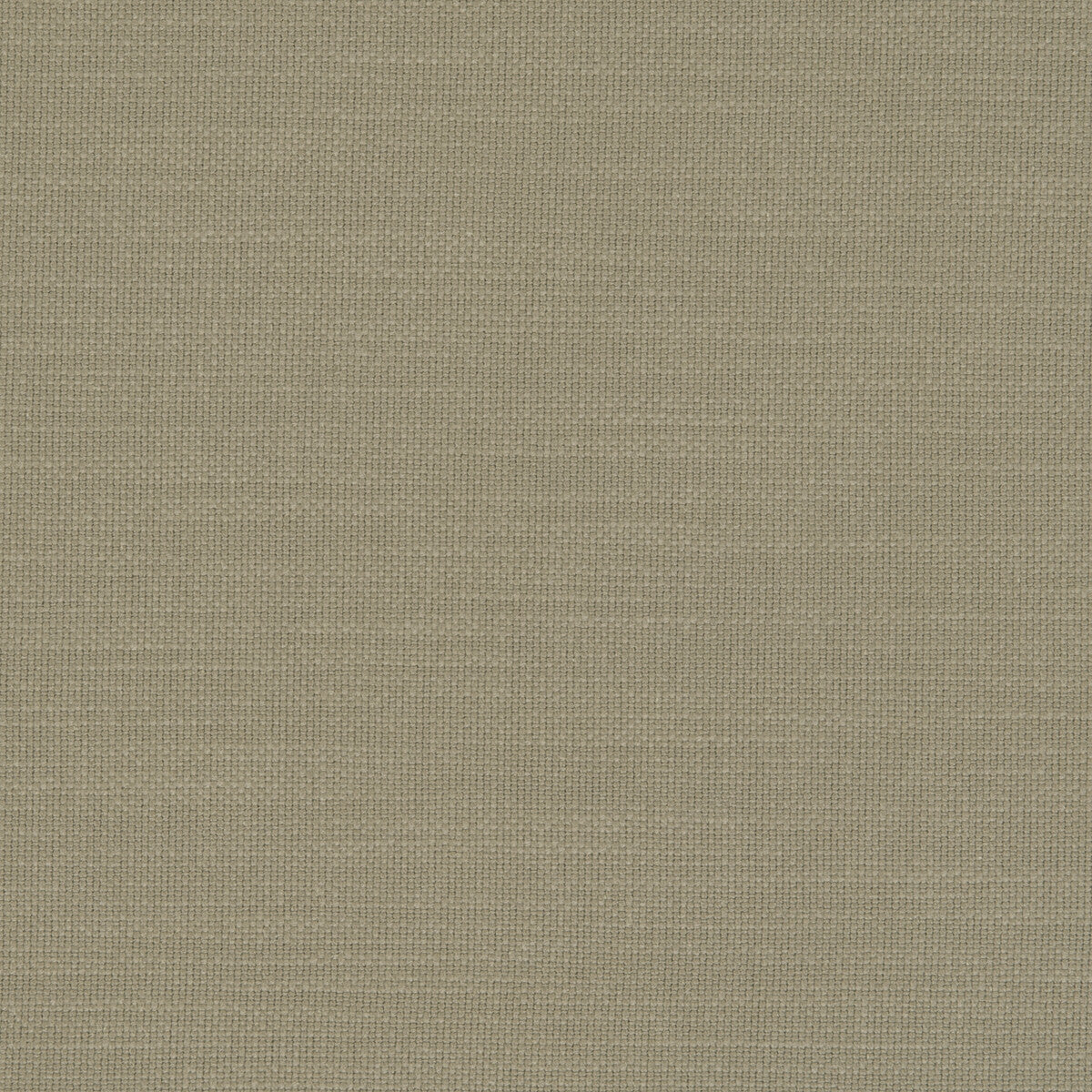 Nantucket fabric in eucalyptus color - pattern F0594/19.CAC.0 - by Clarke And Clarke in the Clarke & Clarke Nantucket collection