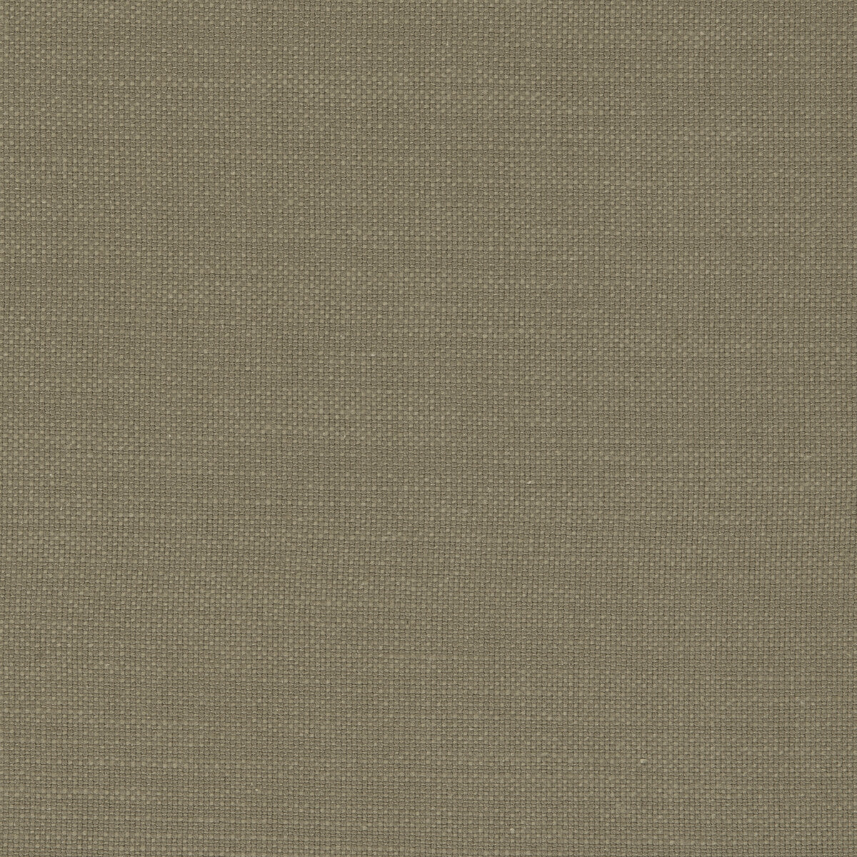 Nantucket fabric in flax color - pattern F0594/20.CAC.0 - by Clarke And Clarke in the Clarke & Clarke Nantucket collection