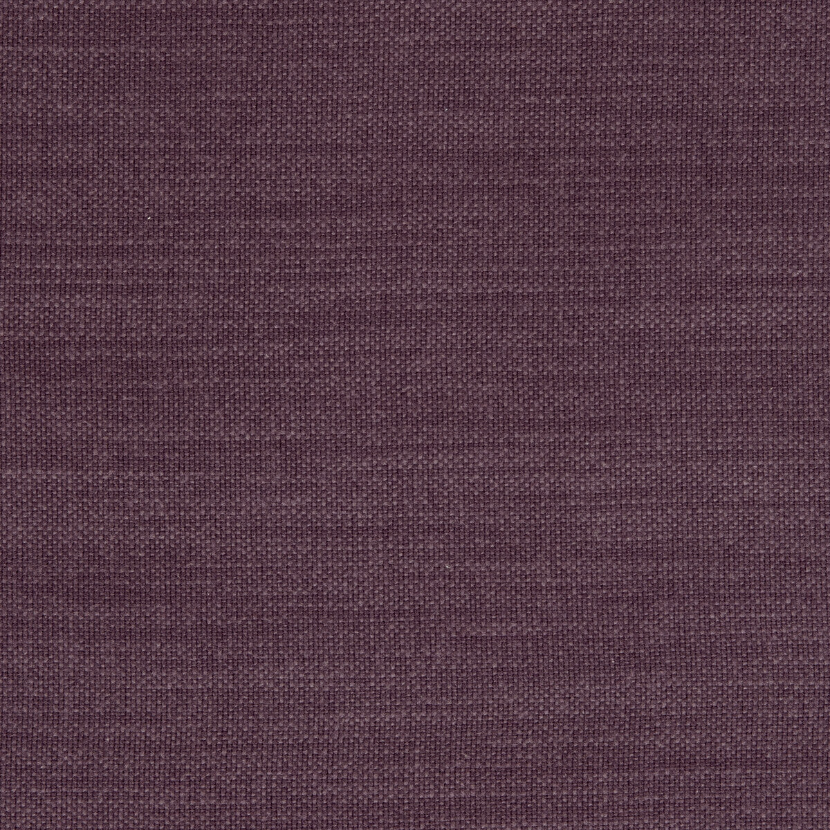 Nantucket fabric in grape color - pattern F0594/22.CAC.0 - by Clarke And Clarke in the Clarke & Clarke Nantucket collection