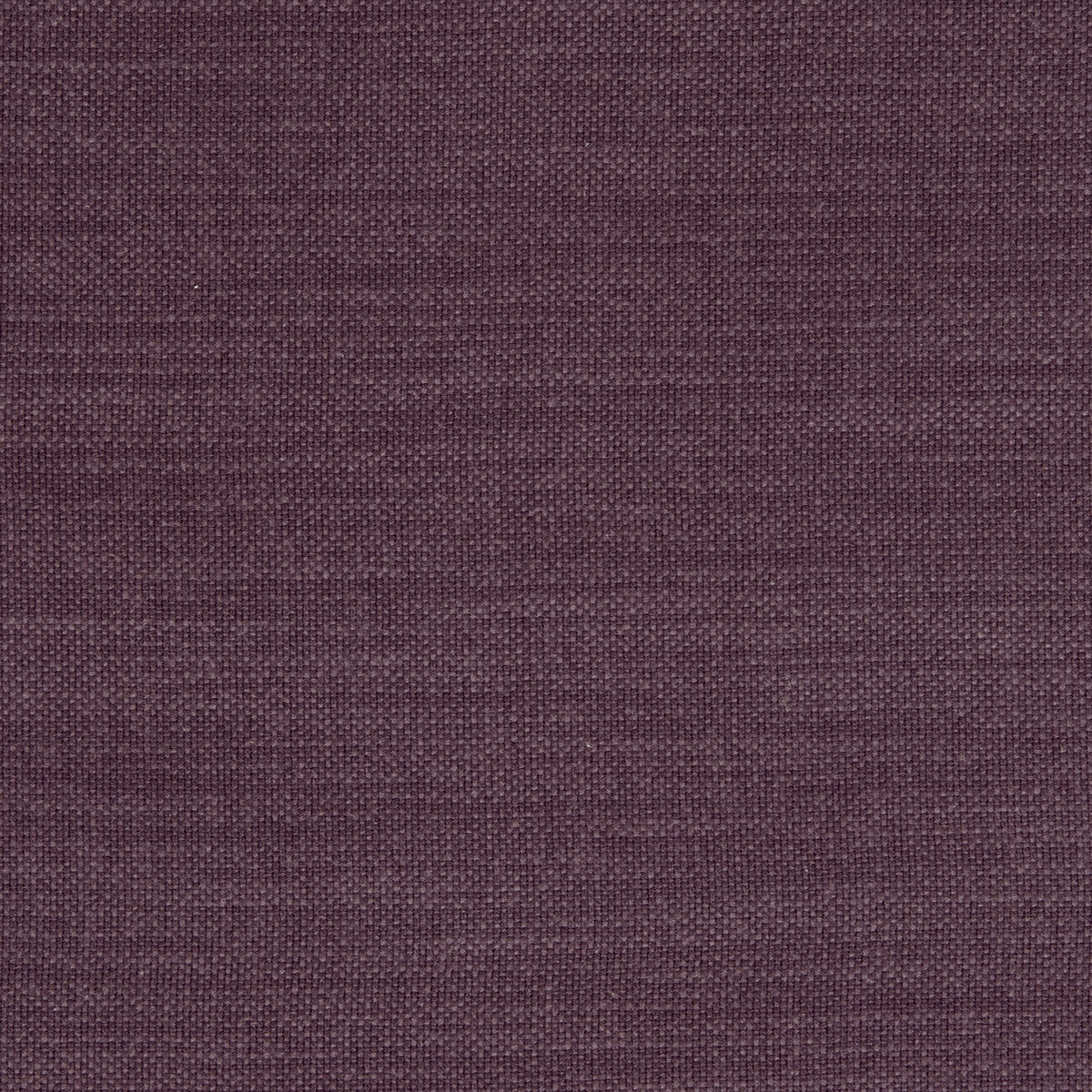 Nantucket fabric in grape color - pattern F0594/22.CAC.0 - by Clarke And Clarke in the Clarke &amp; Clarke Nantucket collection