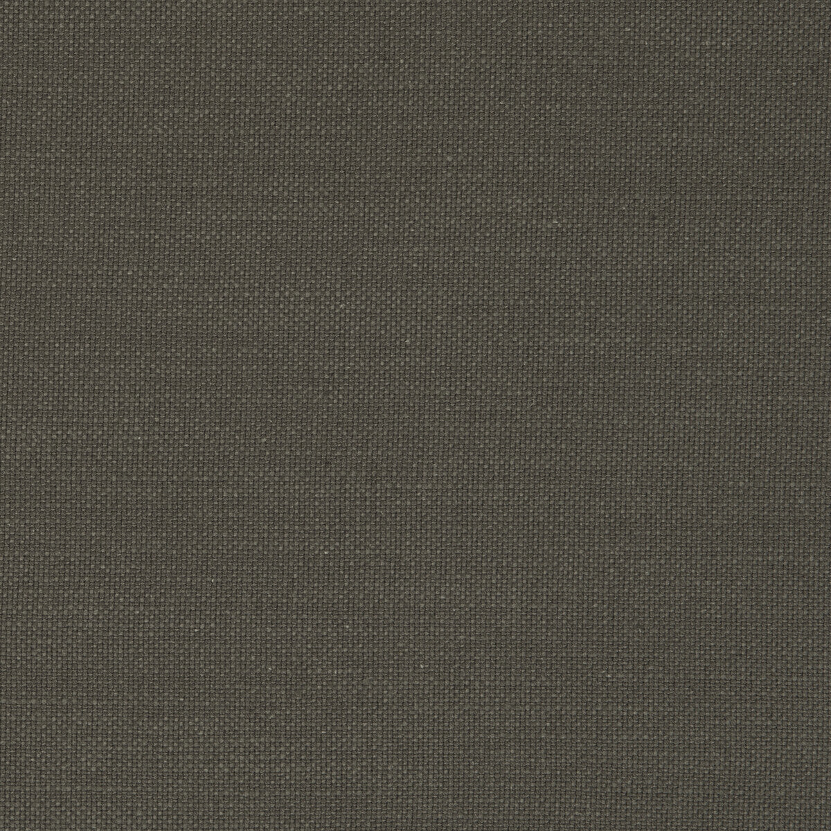 Nantucket fabric in gunmetal color - pattern F0594/23.CAC.0 - by Clarke And Clarke in the Clarke &amp; Clarke Nantucket collection