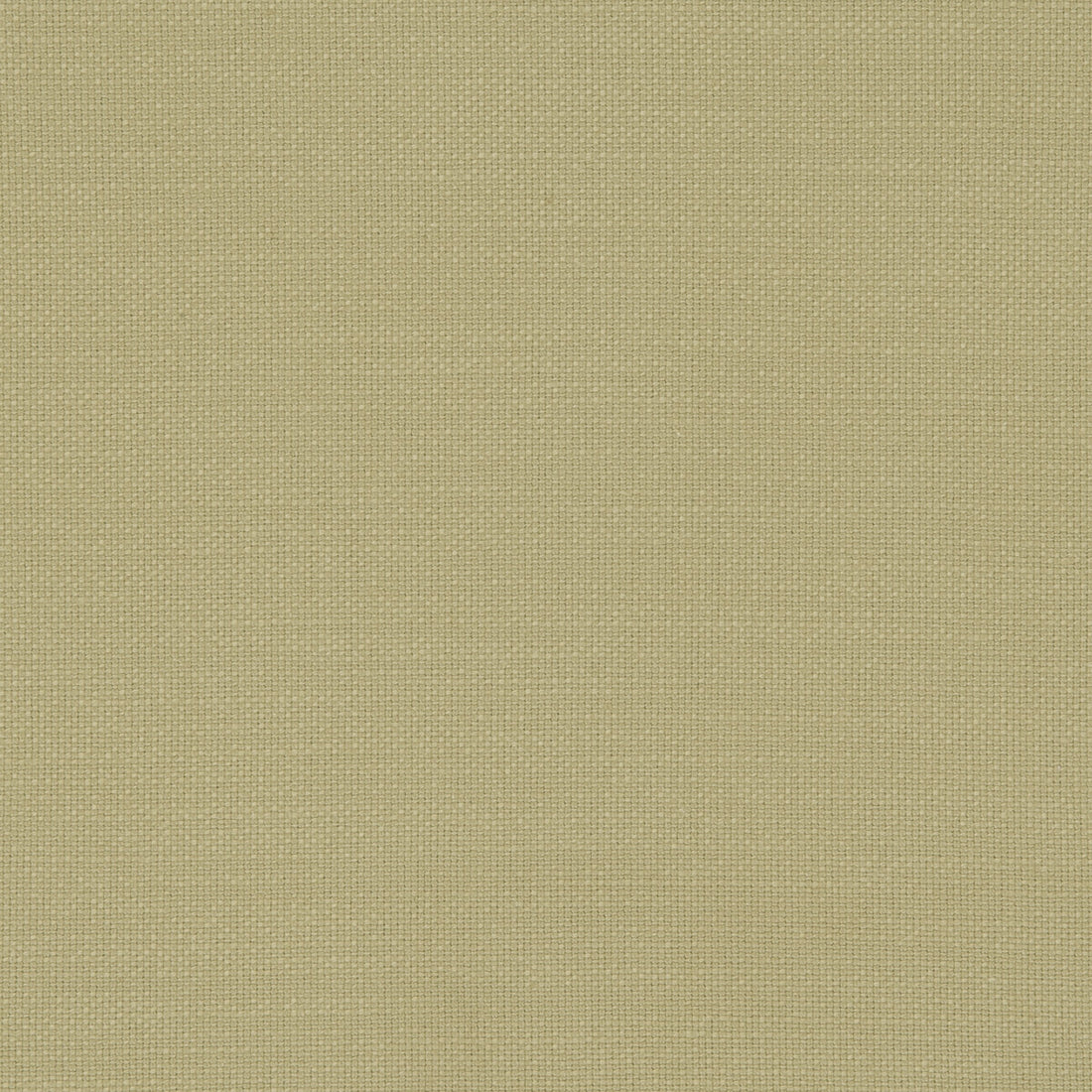 Nantucket fabric in hemp color - pattern F0594/25.CAC.0 - by Clarke And Clarke in the Clarke &amp; Clarke Nantucket collection